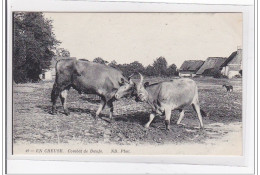 EN CREUSE : Combat De Boeufs - Tres Bon Etat - Autres & Non Classés