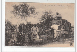 COTE D'OR - Scène De Vendanges - Très Bon état - Autres & Non Classés