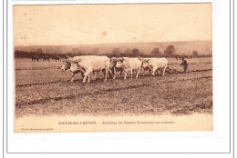 CHATEAU-CHINON : Attelage De Boeufs Nivernais Au Labour - état - Autres & Non Classés