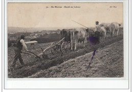 En MORVAN - Boeufs Au Labour - état - Other & Unclassified