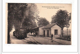DONNEMARIE-en-MONTOIS : La Gare Des Tramways - Tres Bon Etat - Autres & Non Classés