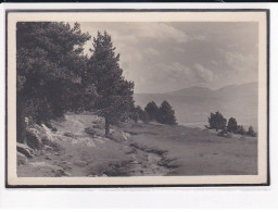 Pyrénées-Orientales, Odeillo, Le Ruisseau Et La Plaine, Environ 15x10cm, Années 1920-30 - Très Bon état - Places