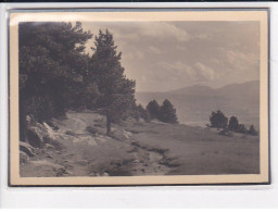 Pyrénées-Orientales, Odeillo, Le Ruisseau Et La Plaine, Environ 15x10cm, Années 1920-30 - Très Bon état - Lieux