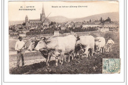 AUTUN : Boeufs Au Labour (champ Chevras) - Etat - Autun