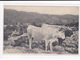 BAGNERES-DE-LUCHON : Cultivateur Des Environs De Luchon - Très Bon état - Other & Unclassified