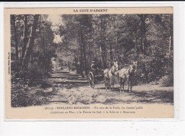 MOULLEAU-ARCACHON : Un Coin De La Forêt, Le Chemin Paillé, Conduisant Au Pilat, à La Pointe Du Sud - Très Bon état - Arcachon