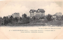 SALIES DE BEARN - Grand Hôtel Bellevue - Pavillon Henri IV - Villas Gabrielle, Corisandre, Fleurette - Très Bon état - Salies De Bearn