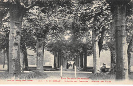 SAINT CHRISTAU - L'Allée Des Platanes - Avenue Des Bains - Très Bon état - Autres & Non Classés