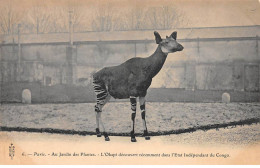 PARIS - Au Jardin Des Plantes -  L'Okapi - Très Bon état - District 05