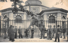 PARIS - Au Jardin Des Plantes -  Le Grand Eléphant - Très Bon état - District 05