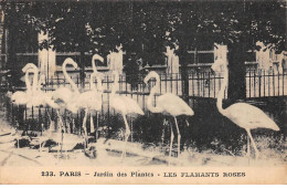 PARIS - Jardin Des Plantes - Les Flamants Roses - Très Bon état - Paris (05)