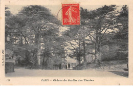 PARIS - Cèdres Du Jardin Des Plantes - Très Bon état - Paris (05)