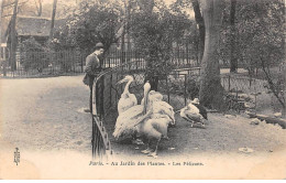 PARIS - Au Jardin Des Plantes - Les Pélicans - Très Bon état - Distrito: 05