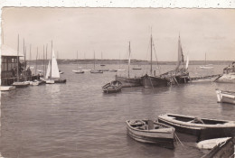 14. DIVES SUR MER. CPA . LE PORT. ANNEE 1955 + TEXTE - Dives