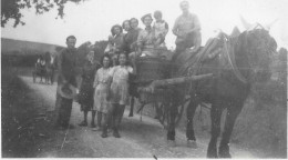 Souvenir Des Vendanges 1946 à MURVIEL (Photo) - Autres & Non Classés