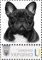 Ukraine 2023, Fauna, Dog, French Bulldog, Art, 1v - Ukraine