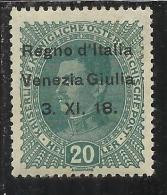 VENEZIA GIULIA 1918 SOPRASTAMPATO DI AUSTRIA OVERPRINTED 20h HELLER MNH - Venezia Julia