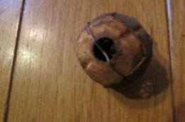 WW1 Gas Ball - 1914-18