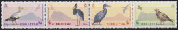 F-EX50153 GIBRALTAR MNH 1991 WWF WILDLIFE BIRD AVES.  - Nuevos