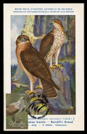 GIBRALTAR (2024) Carte Maximum Card - Birds Of Prey - Bonelli's Eagle, Aquila Fasciata, Aigle De Bonelli, Habichtsadler - Gibilterra