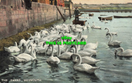 R600118 Weymouth. The Swans. B. And D. Kromo Series - Wereld