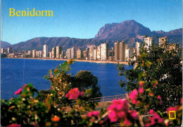 4-5-2024 (4 Z 6) Spain - (posted To France 2001) - Benidorm - Other & Unclassified