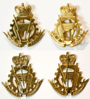 Militaria-BE-terre-insigne_logistique_02_doré_pugnantes Adjuvo_2 Insigne_R01_20-22 - Armée De Terre