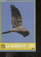 La Babillarde N°2 - 2005 - La Revue Des Naturalistes Rhodaniens- Historique De La Protection Des Busards Dans Le Rhone, - Other Magazines