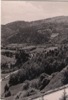 25. JOUGNE. VALLEE DE LA FERRIERE. 1952. - Autres & Non Classés