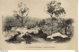 77 Forêt De FONTAINEBLEAU N°98 Gorges De FRANCHARD VOIR DOS Non Séparé Avant 1905 Thibault éditeur Melun - Fontainebleau