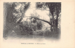 Mali - La Mare Aux Lions - Ed. A. Bergeret & Cie  - Mali