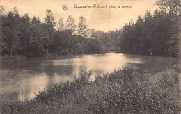 Belgique - BOUSSU LES WALCOURT (Hainaut) Etang De Féronval - Boussu