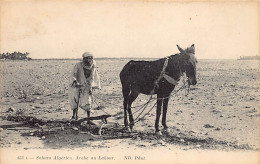 Algérie - Sahara Algérien - Arabe Au Labour - Ed. ND Phot. Neurdein 453A - Escenas & Tipos