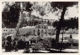 Palestine - JERUSALEM - Garden Of Gethsemane - REAL PHOTO - Publ. G. Semerdjian Photo-Rex - Palästina