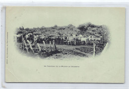 Tanganyika - A Flock From The Bagamoyo Mission - Publ. Dépôt Aux Missions  - Tanzanía