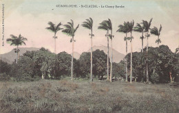 Guadeloupe - SAINT-CLAUDE - Le Champ Barolet - Ed. Phos  - Altri & Non Classificati