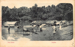 Sri Lanka - River Scene - Publ. A.W.A. Plâté & Co. 511 - Sri Lanka (Ceilán)