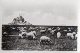 PHOTO - P - MANCHE - LE MONT SAINT MICHEL - FORMAT 8.8 X 6 - Lugares