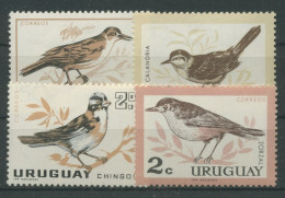 Uruguay 1963 Einheimische Vögel 955/58 Postfrisch - Uruguay