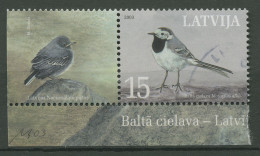 Lettland 2003 Nationalvogel Bachstelze 596 Zf Gestempelt - Lettonia
