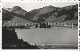 11755982 Lac Noir Schwarzsee FR Panorama Fribourg - Other & Unclassified