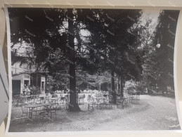 Italia Foto  CHIOLINI E TURCONI Pavia. Il Parco "Monte Alfio" - Europe