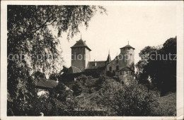 11755813 Morat Murten Le Chateau Murten - Sonstige & Ohne Zuordnung