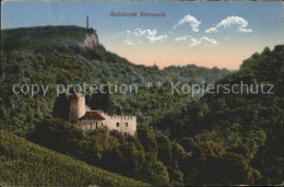 11755471 Arlesheim Schloss Birseck Arlesheim - Otros & Sin Clasificación