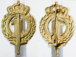 Militaria-BE-terre-insigne_Ligne_1er De Ligne _20-24 - Hueste