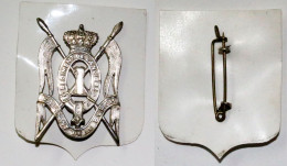 Militaria-BE-terre-insigne_Lanciers_1er Régiment_argent_20-24 - Armée De Terre