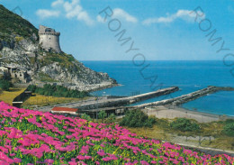 CARTOLINA  C10 S.FELICE CIRCEO-SABAUDIA,FROSINONE,LAZIO-CIRCEO PITTORESCO-PRIMAVERA-TORRE PAOLA-NON VIAGGIATA - Frosinone