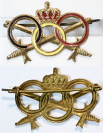 Militaria-BE-terre-insigne_brevet Sportif_20-24_D - Hueste