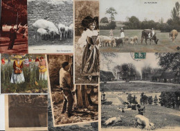 Lot 308 De 10 CPA Divers Métier Campagne Ferme Folklore Déstockage Pour Revendeurs Ou Collectionneurs - 5 - 99 Postcards