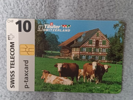 SWITZERLAND - FB-004 - Tilsiter Käse - 2.000EX. - Switzerland